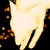 :iconpaper-clip-ninja: