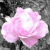 :iconpaper-hanger: