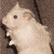 :iconpaper-neko-art: