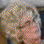 :iconpaper-princess: