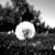 :iconpaper-scratcher: