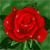 :iconpaper-x-stars: