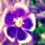 :iconpaperairplanes81330:
