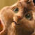 :iconpapercutgirl90:
