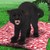 :iconpapercuttingedge: