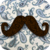 :iconpaperkingdoms: