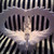 :iconpapermodulgirl: