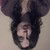 :iconpapriiqa: