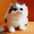:iconpara-mount: