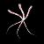:iconparabolicvisions: