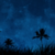 :iconparacazer: