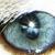 :iconparadigmphotos: