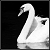 :iconparadisecolor: