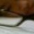 :iconparadoxical-pam: