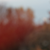 :iconparallelhighway: