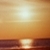 :iconparalyzedcork: