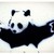 :iconparanoidbears1: