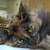 :iconparanormal-hyperbola: