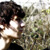 :iconparap-luie: