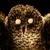 :iconparasite3:
