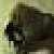 :iconparasiticjester: