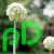 :iconparasitodesign: