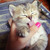 :iconparawhoremtvsayyra: