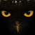 :iconpardalisstrix: