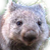 :iconparmahendarr: