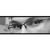 :iconparnmatt: