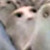 :iconparseltongue69: