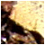 :iconpartial-beats:
