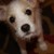 :iconpartysent: