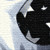 :iconparvuspolygoni:
