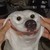 :iconpascalswager: