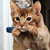 :iconpashavishnevsky: