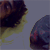 :iconpassarao: