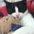 :iconpassedout-panda: