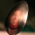 :iconpasseur:
