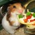 :iconpassifloracaerulea: