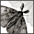 :iconpassingbird: