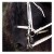 :iconpassion-ponie: