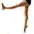 :iconpassionatearabesque: