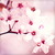 :iconpassionatedphotoworx: