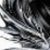 :iconpassiondragon73737: