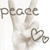 :iconpassionfruitmonkey: