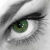 :iconpassionobsession: