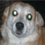 :iconpassionworks: