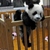 :iconpassiveaggression: