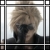 :iconPasteis: